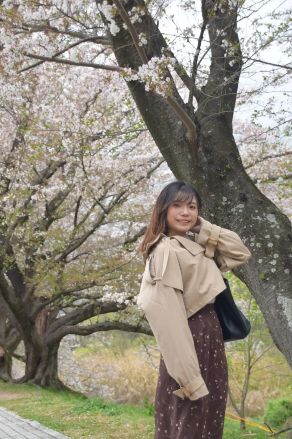 金城さくらのプロフィール写真